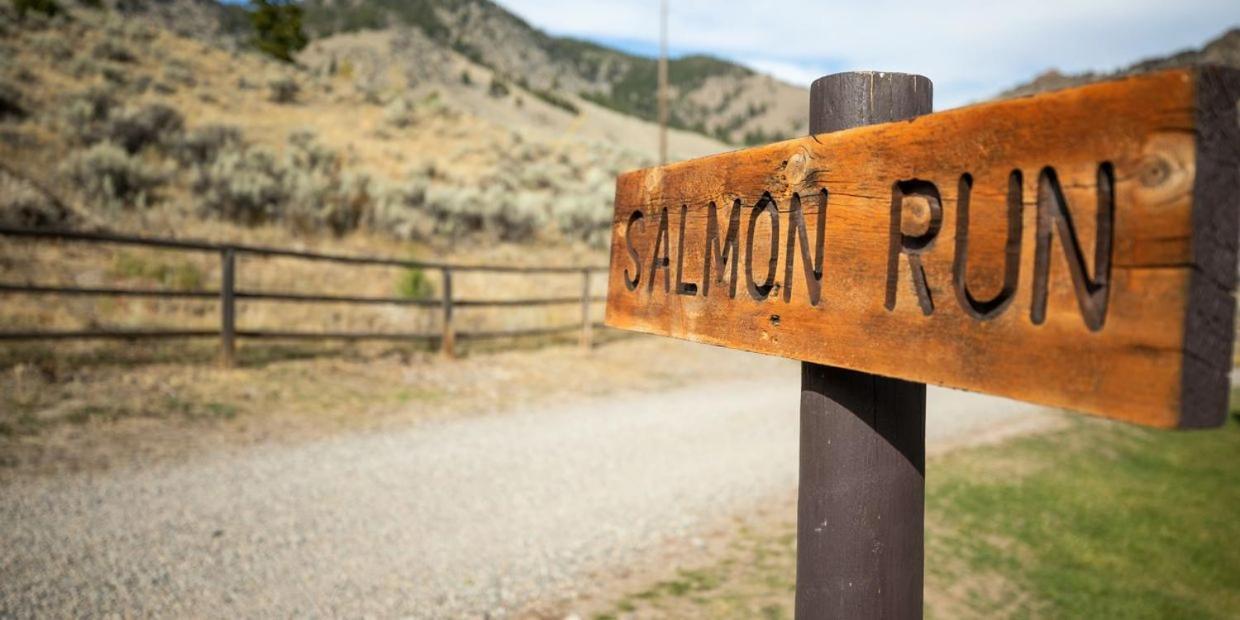 Twin Peaks Guest Ranch Villa Salmon Dış mekan fotoğraf